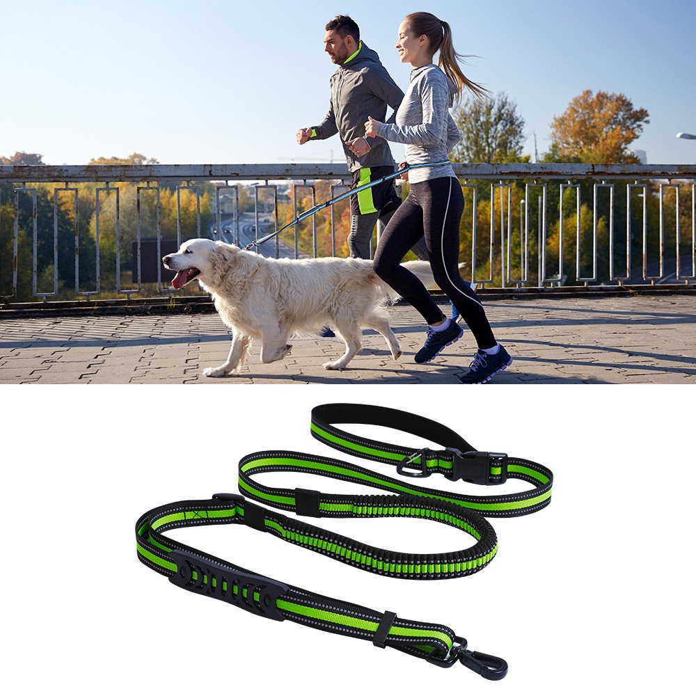 Handsfree Professional Running Bungee New Training Walking Reflective Nylon Hands Free Rope Pet Dog Cat Leash Lead Collar Set