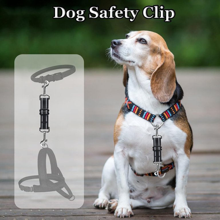 Double Ended Clasp Back Up Adjustable Collar Clip Strap Harness Prong Dog Collar Safety Clip