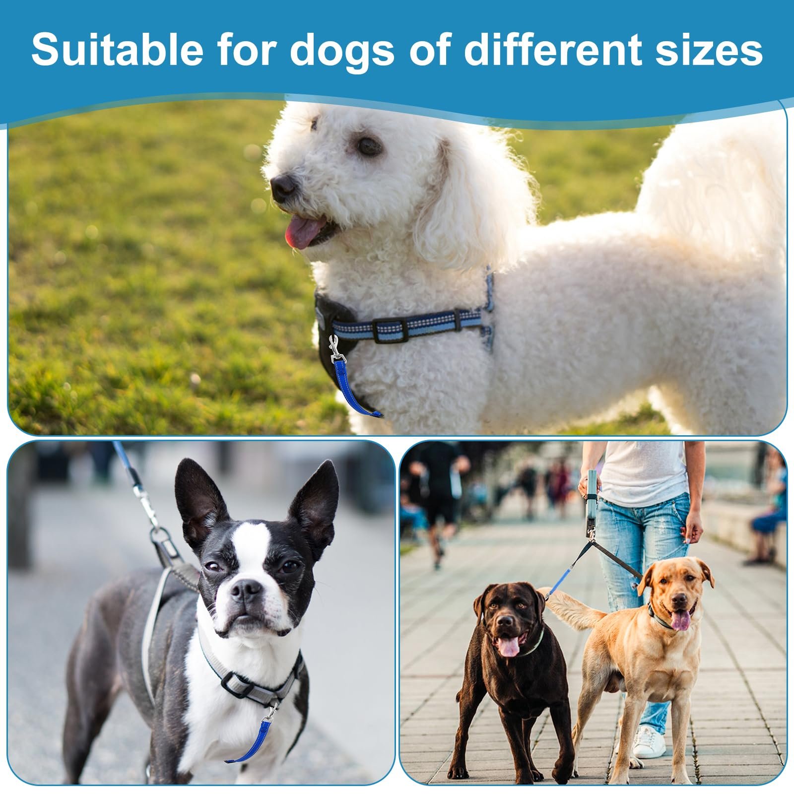 Double Ended Clasp Back Up Adjustable Collar Clip Strap Harness Prong Dog Collar Safety Clip