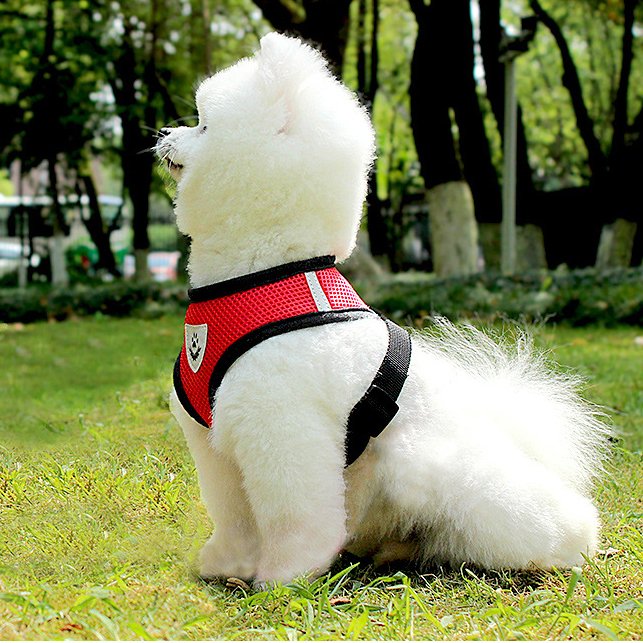 Qbellpet pet accessories Wholesale Pet Training Harness Breathable Dog Harness Vest with Leash