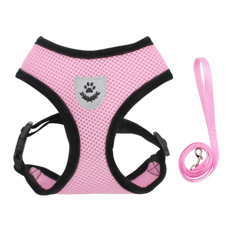 Qbellpet pet accessories Wholesale Pet Training Harness Breathable Dog Harness Vest with Leash