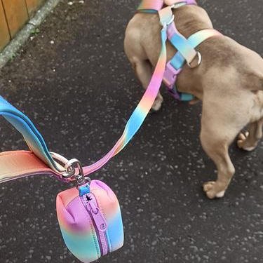 Custom Multi Color nylon combat tactical dog collar and leash set lead Gradient Seven colors heavy duty dog leash and harness