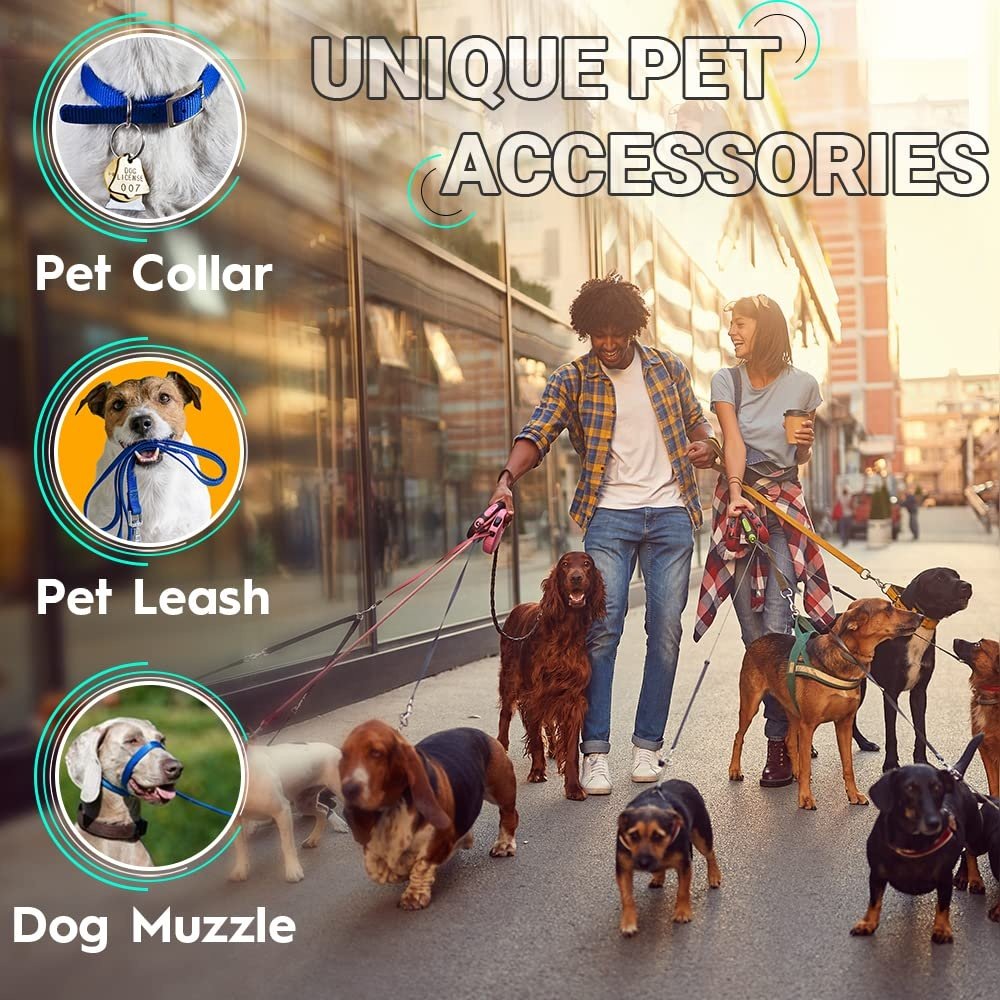 Polypropylene Webbing Strap for Backpack Cargo Strap Pet Leash or Collar