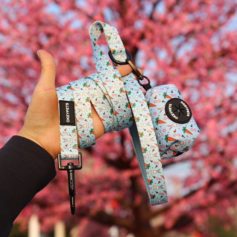 OKEYPETS Cheap Personalized Luxury Durable Sublimation Adjustable Dog Accessories Leash With Poop Bag