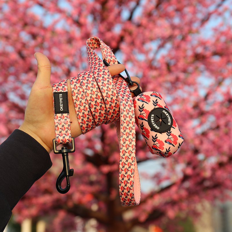 OKEYPETS Cheap Personalized Luxury Durable Sublimation Adjustable Dog Accessories Leash With Poop Bag