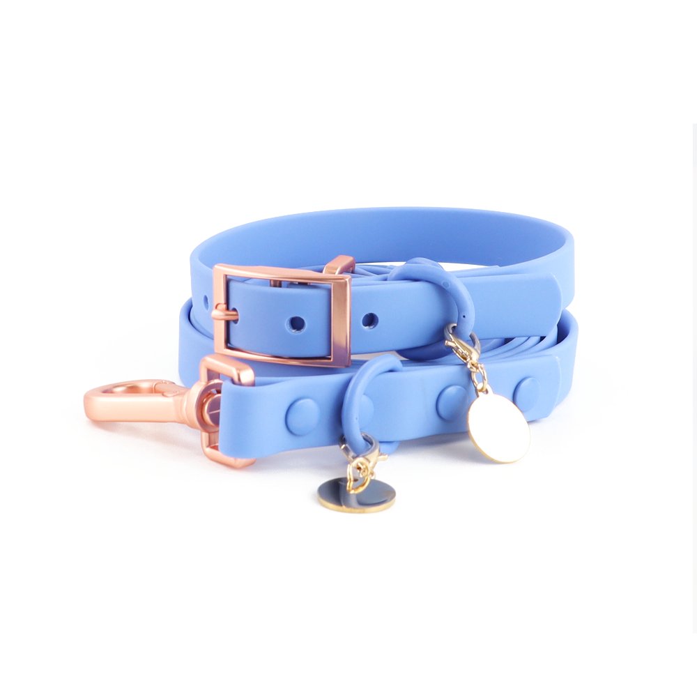 Personalized Designer Custom Logo Pattern Waterproof PVC Dog Leads Hands Free Nylon Pet Dog Collar Leash Luxury Set