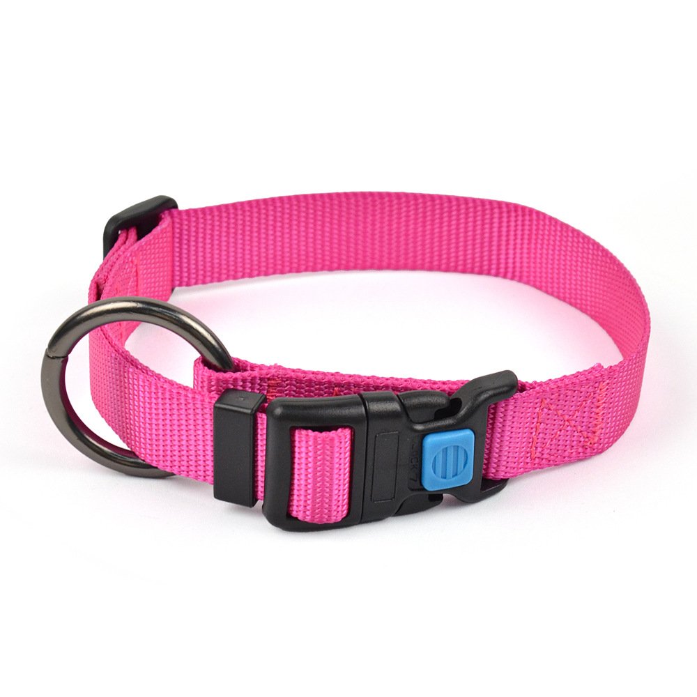Pet Collars Pet Supplies Durable Accessories Walking Safety Custom Adjustable Pet Cat Dog Collar