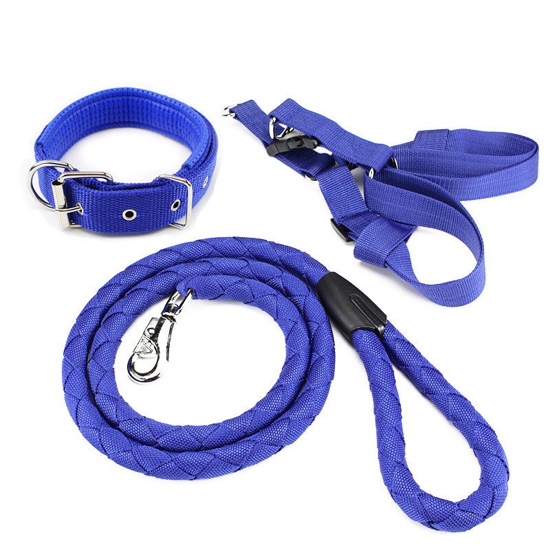 Hot selling dog leash collar set pet collar and leash