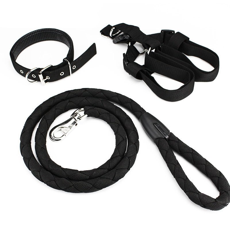 Hot selling dog leash collar set pet collar and leash