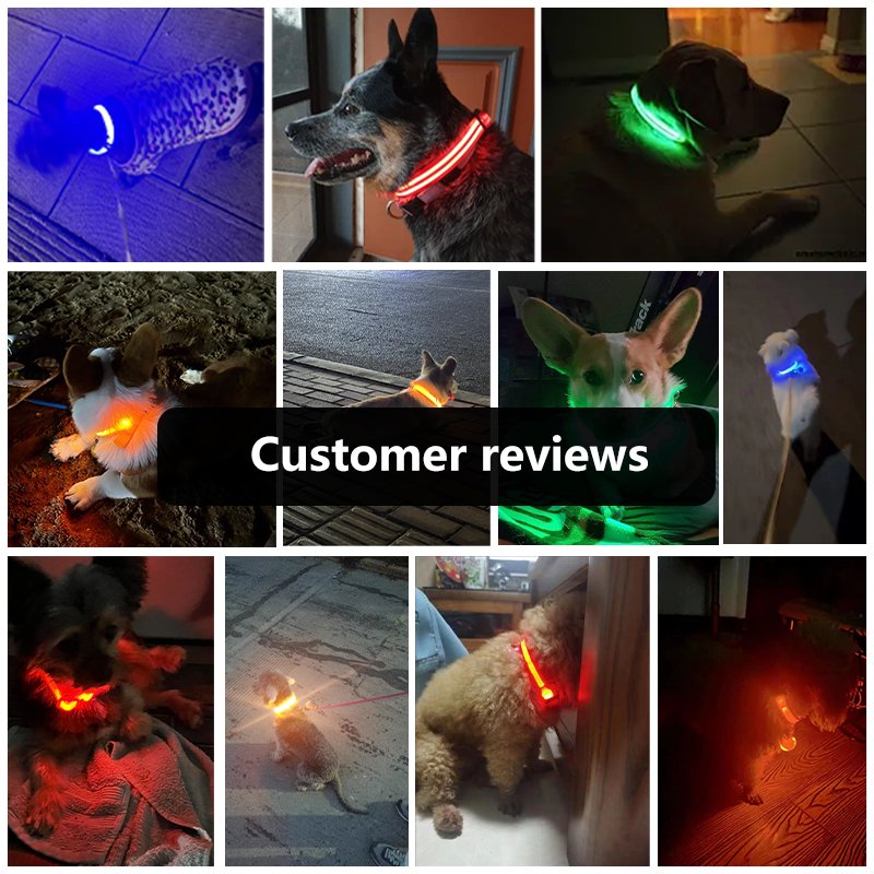 Luxury Custom Waterproof Flashing Light Up Reflective Pet Collar Adjustable USB Type-C Recharge LED Dog Luminous Collar for Dog
