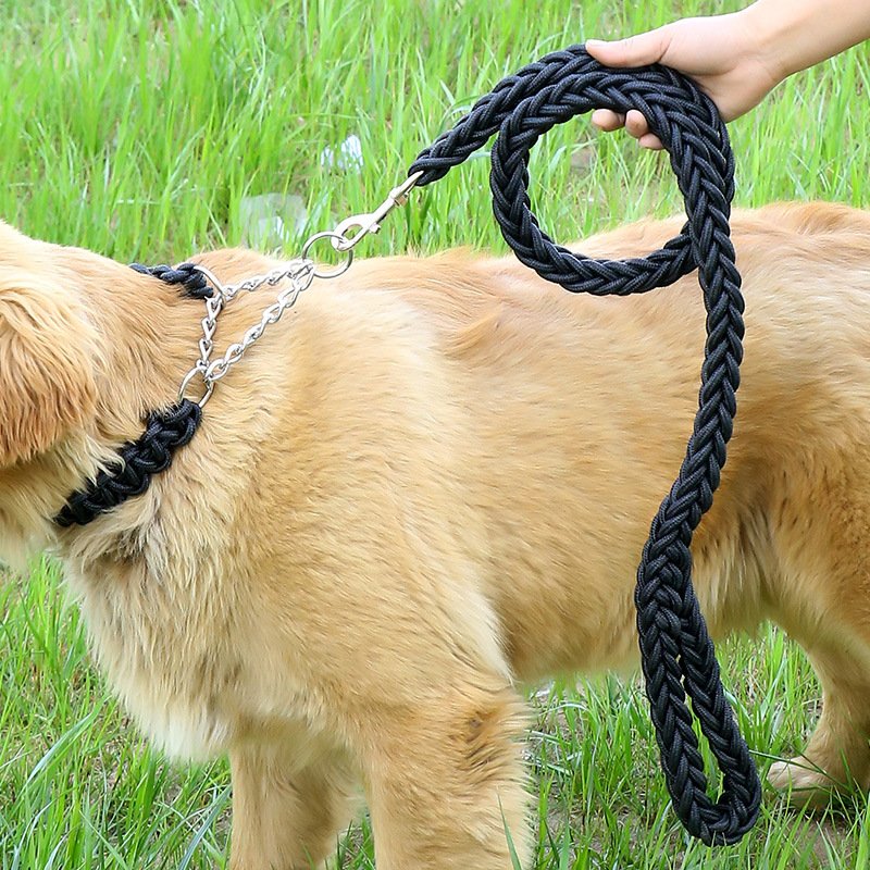 2021 Personalized Other Pet products Medium Large dog products Braided Nylon dog leash and dog collar with metal chain