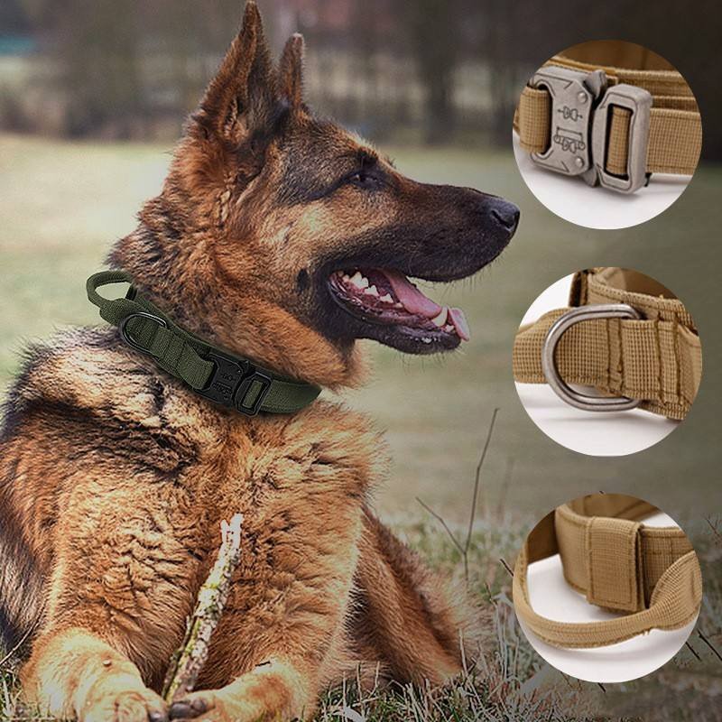 Wholesale Tactical pet Collar With Handle Durable Tactical Nylon Dog Collar Adjustable Training Collar For Large Dogs