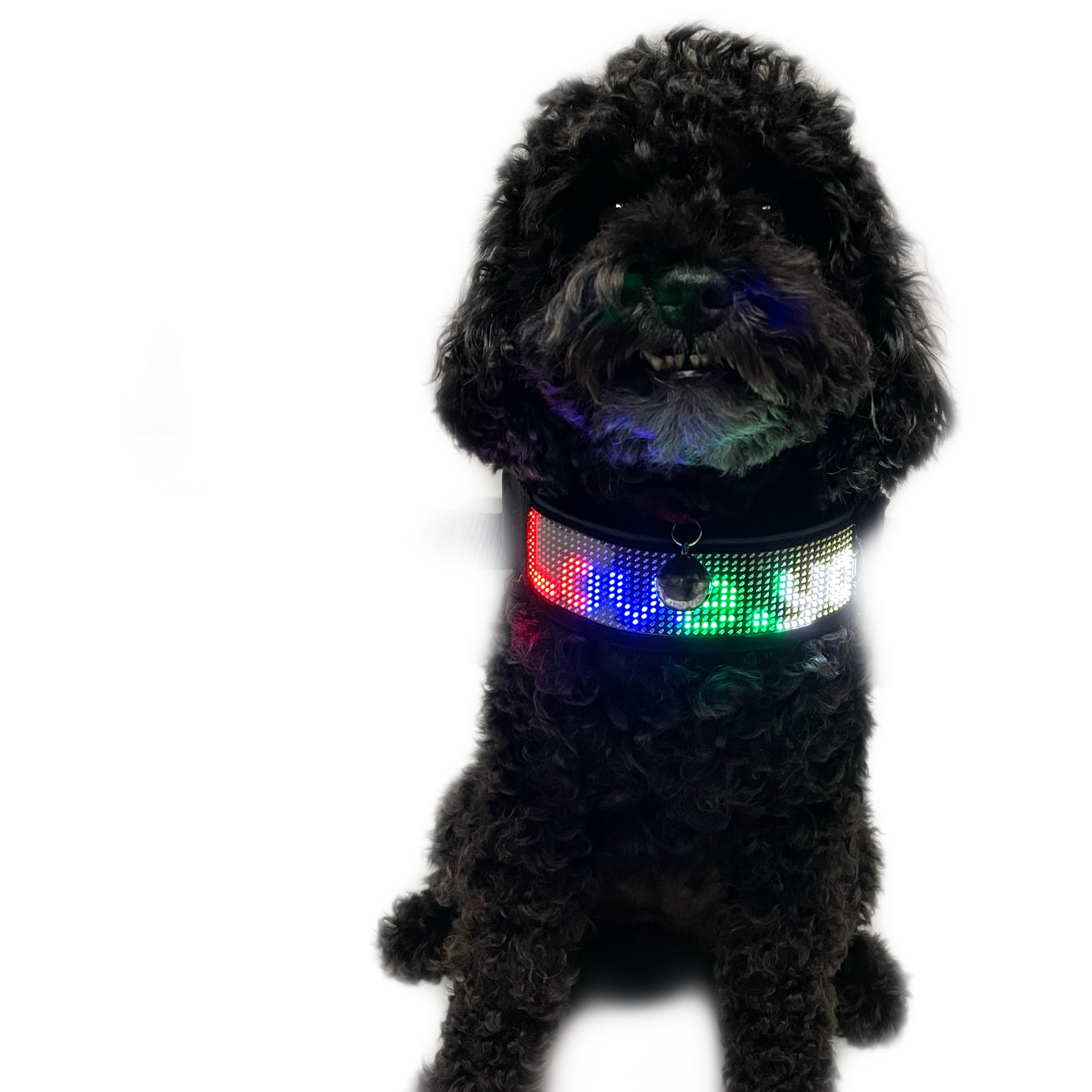 Factory Direct Fashion Safe Mobile Control Phone Connection Glowing Dog Leash Large Size Led Dog Collar