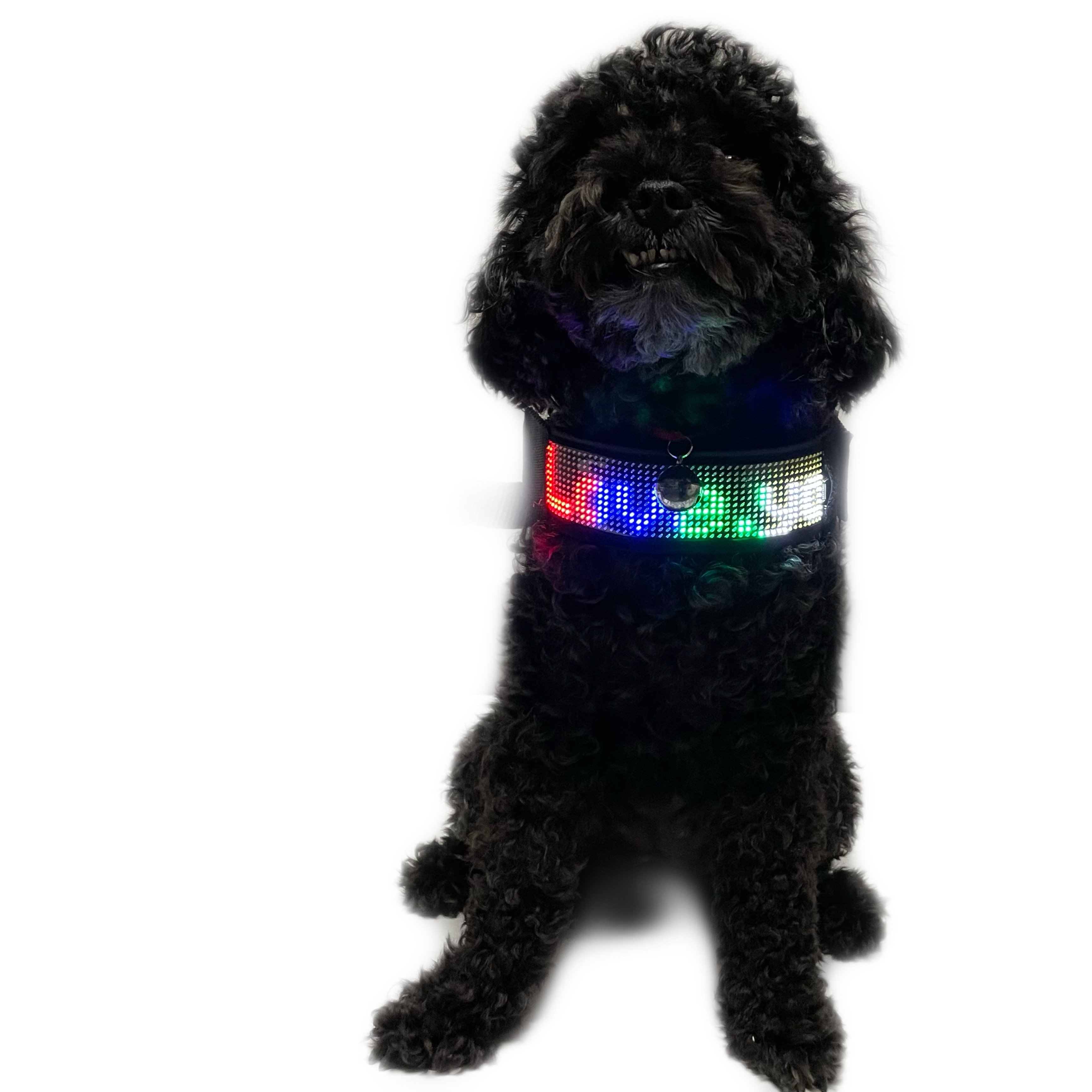 Factory Direct Fashion Safe Mobile Control Phone Connection Glowing Dog Leash Large Size Led Dog Collar