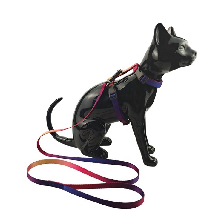 New fashion factory supplier multi colorful cat harness and lead set wholesale pet accessories