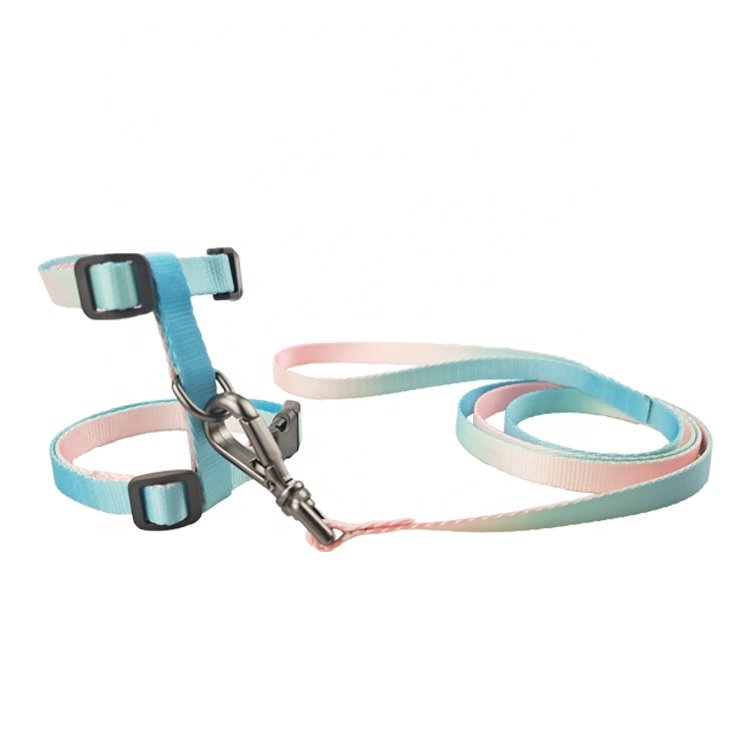 New fashion factory supplier multi colorful cat harness and lead set wholesale pet accessories
