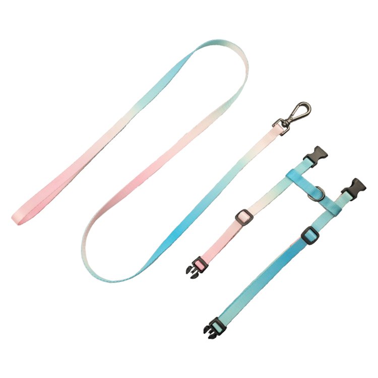 New fashion factory supplier multi colorful cat harness and lead set wholesale pet accessories