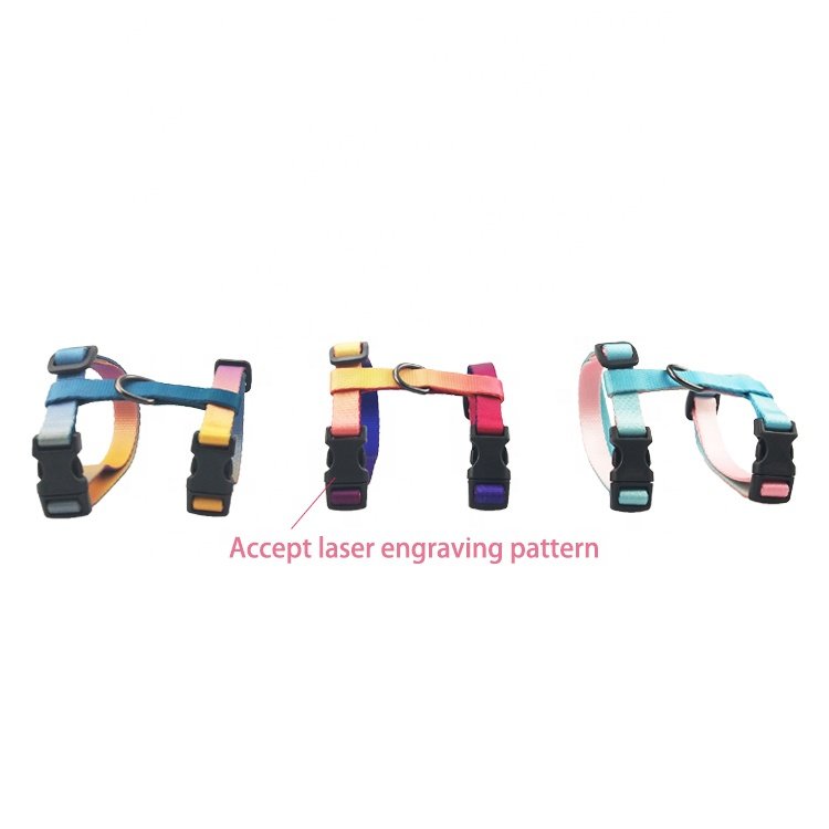 New fashion factory supplier multi colorful cat harness and lead set wholesale pet accessories