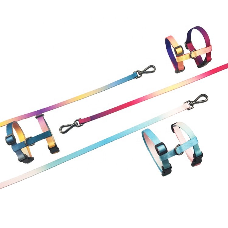 New fashion factory supplier multi colorful cat harness and lead set wholesale pet accessories