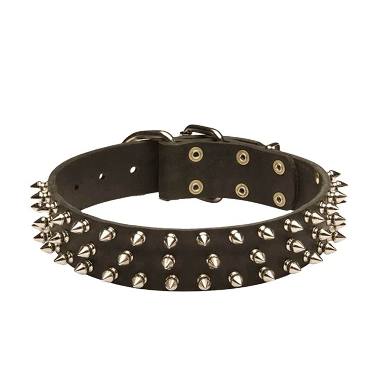 Pet shop supplies collar designed studded dog collar