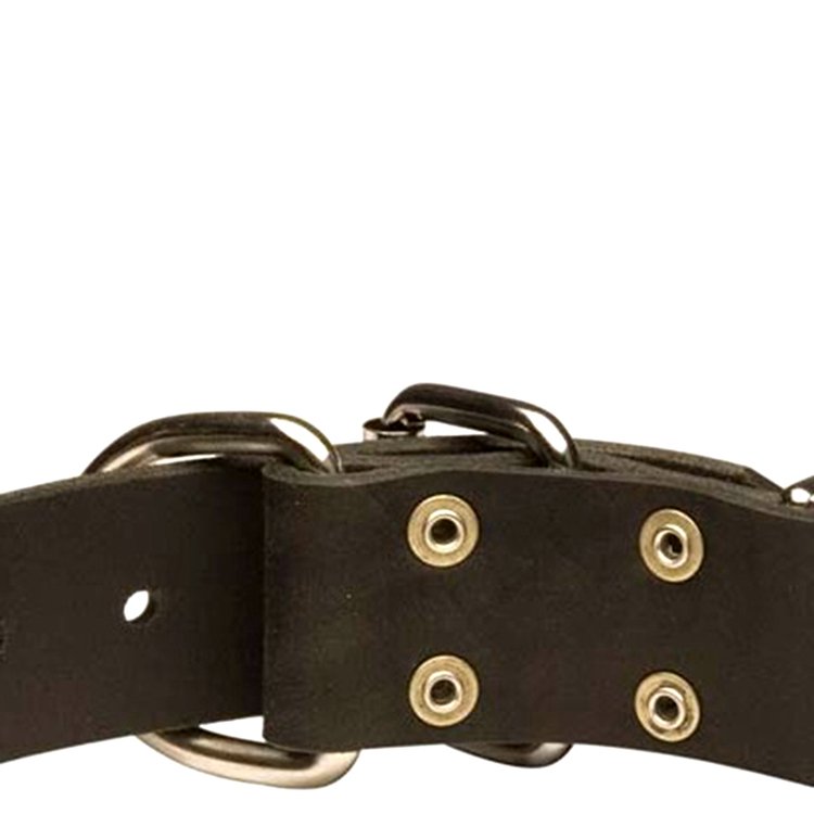 Pet shop supplies collar designed studded dog collar