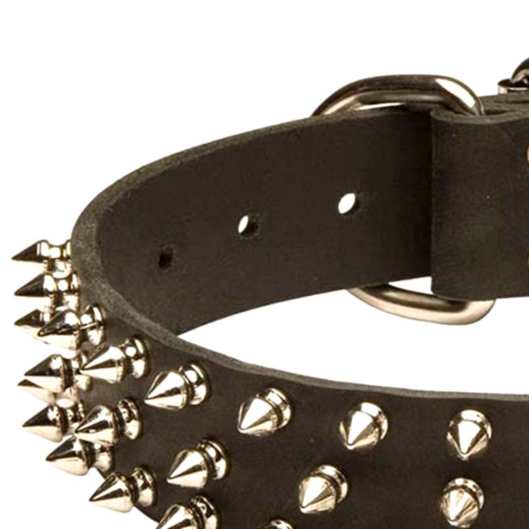 Pet shop supplies collar designed studded dog collar