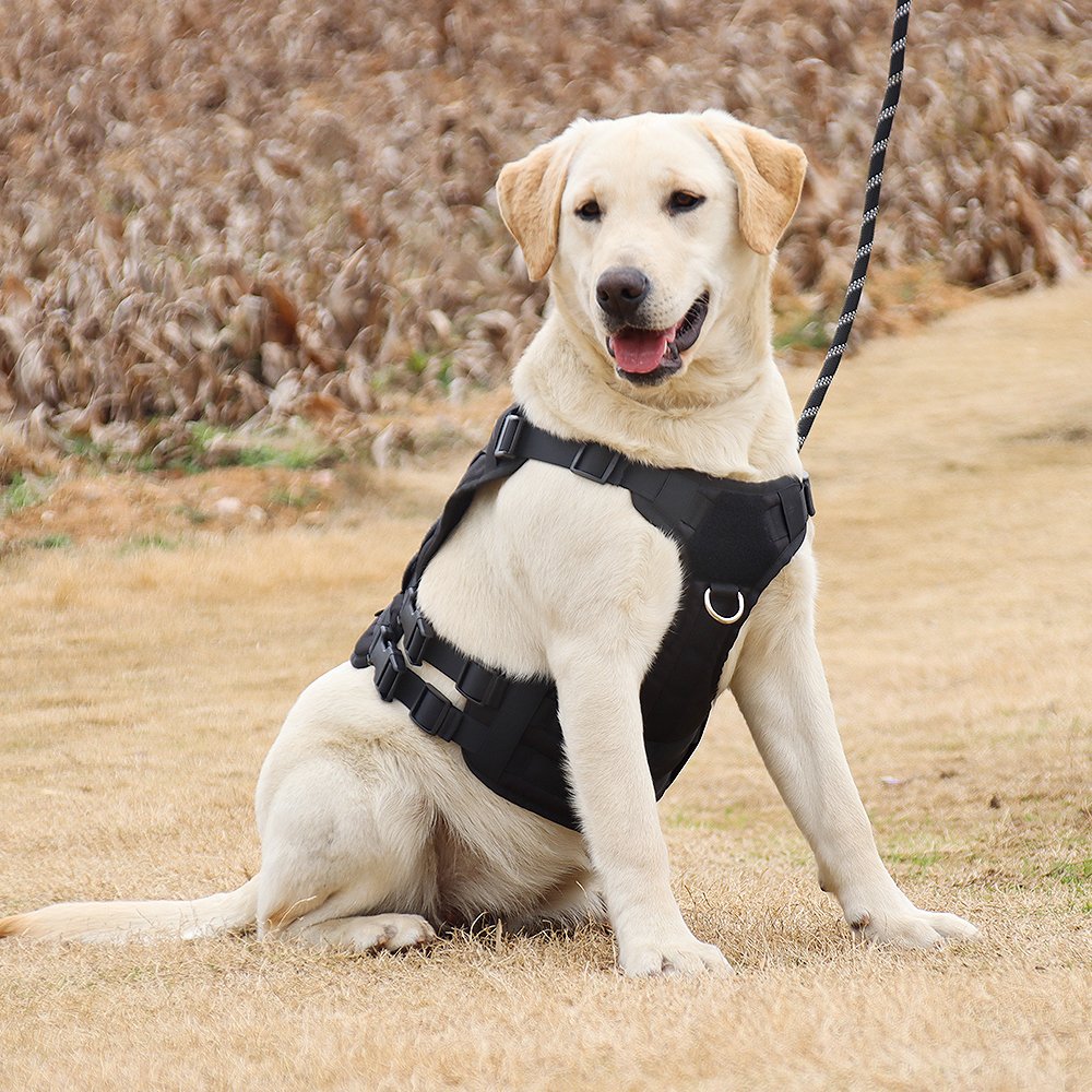 Amazon hot sell pet products pet harness low MOQ MIT for Dog Tactical Harness