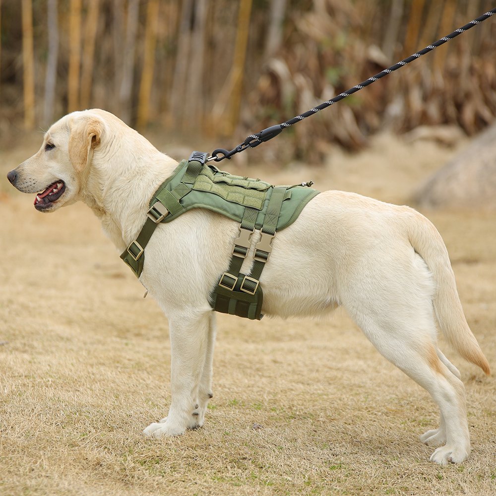Amazon hot sell pet products pet harness low MOQ MIT for Dog Tactical Harness