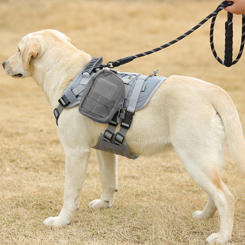 Amazon hot sell pet products pet harness low MOQ MIT for Dog Tactical Harness