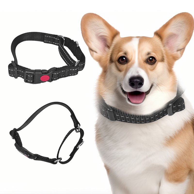 reflective dog collar leather dog collar custom dog collar leather