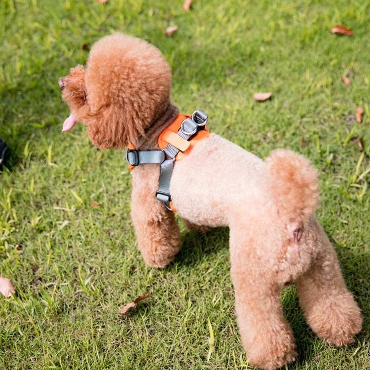 Nylon safety vest no pull pet dog harness reflective for puppy freedom walking