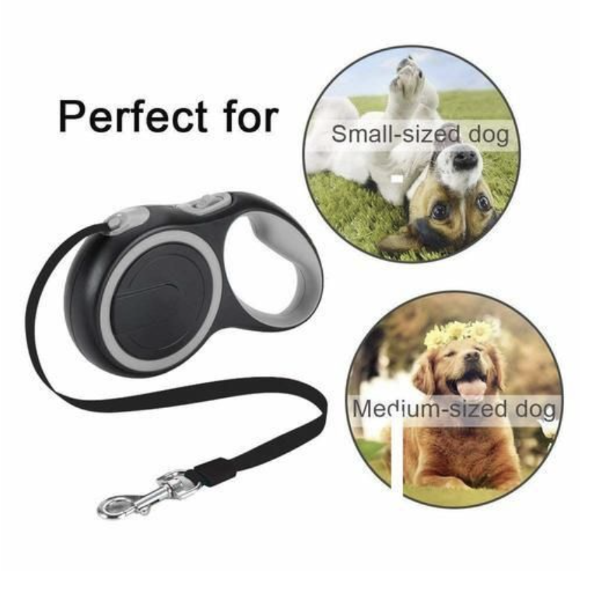 High Quality Cheap Reflective Cat Collar Bells Safety Cute Design Ideal Outdoor Exploration Play