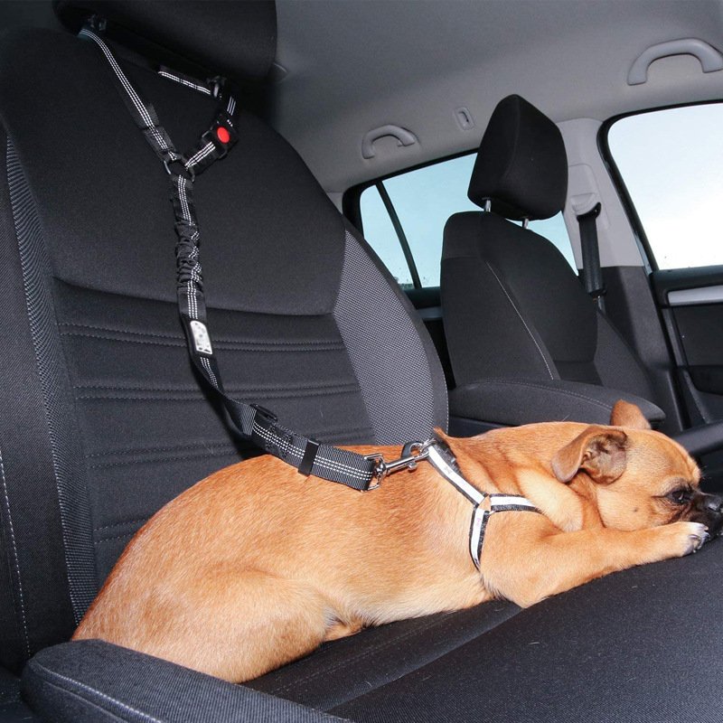 Pet Car Safety Belt Rope Retractable Elastic Reflective Dog leash Dog Traction Rope collar Dog collar