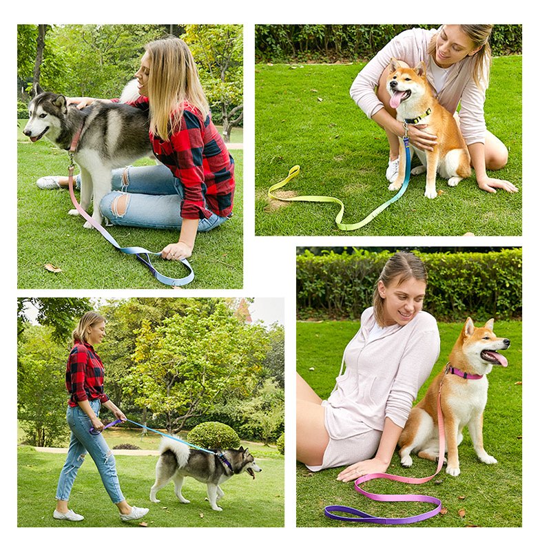 Small Medium Large Dogs Adjustable Dog Collar And Leash Set With Safety Locking Buckle Nylon Customized Pet Collars Webbing