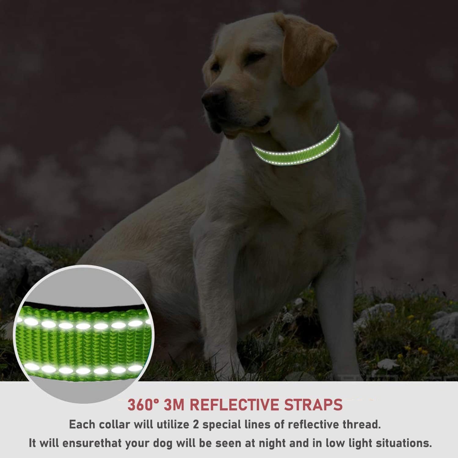 Nylon Dog Collars for Large Dogs Adjustable Classic Solid Color True Dog Collar Pet Essentials