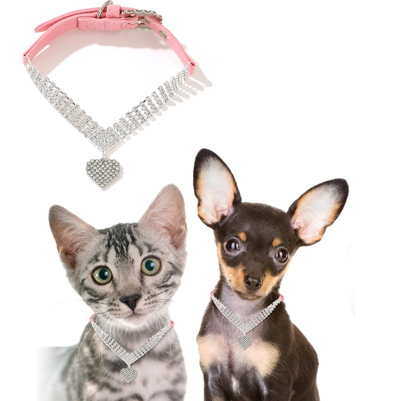 Find Your Pet's Style Sparkling Jeweled Accents for Elegance Complete with Adjustable Collars Leashes!