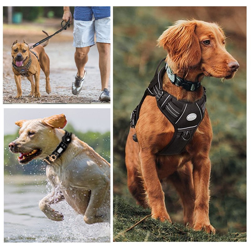 High Quality k9 Dog Vest Harness and Leash Collar Set Adjustable Tactical No Pull Custom Logo Dog Collar Leash Set