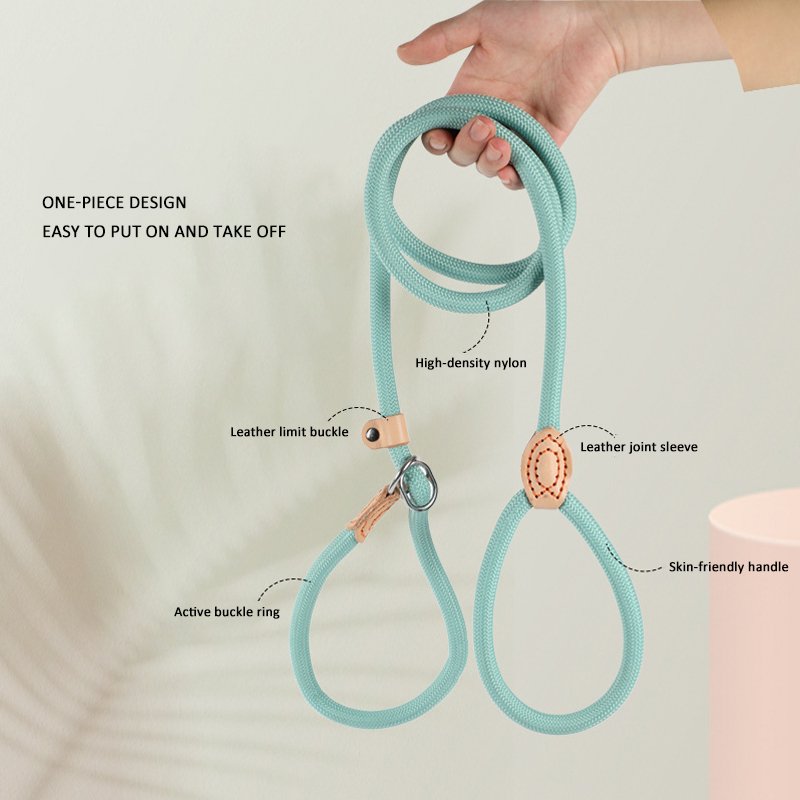 Pet Suppliers Large Medium Small Puppy Adjustable Durable No Pull Pet Training Outdoor Walking Braided Nylon Rope Dog Leash