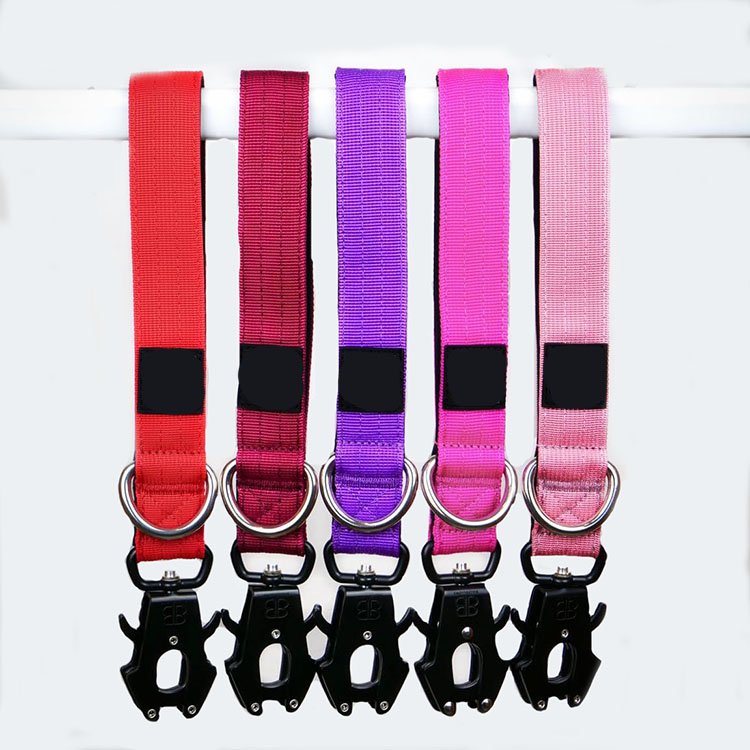 Nylon Adjustable Tactical Training Dog Collar And Leash Set With Metal Buckle