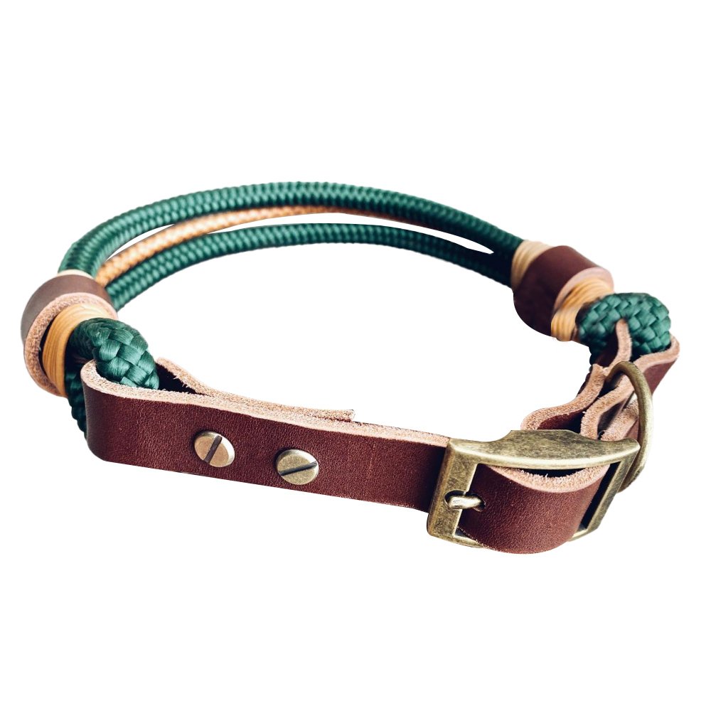 Adjustable Dog Collar and Leash set