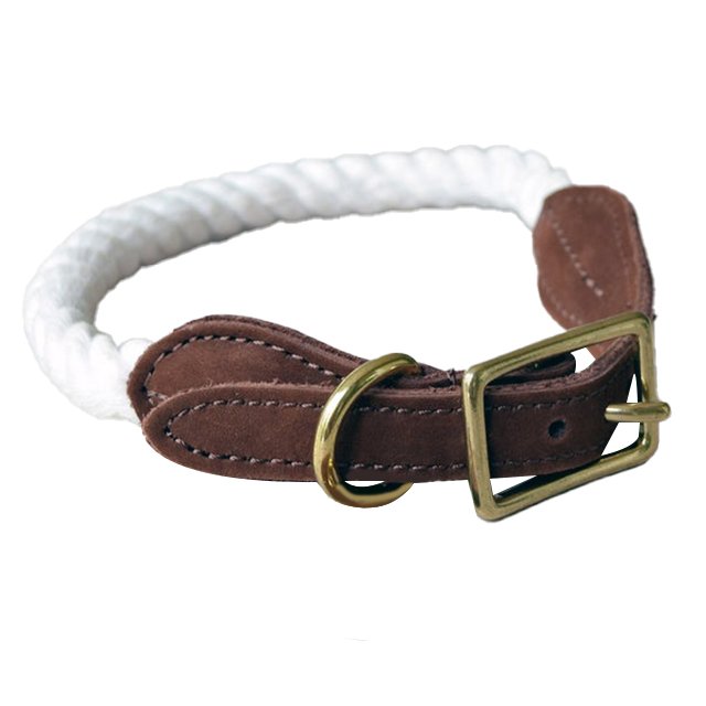 Adjustable Dog Collar and Leash set