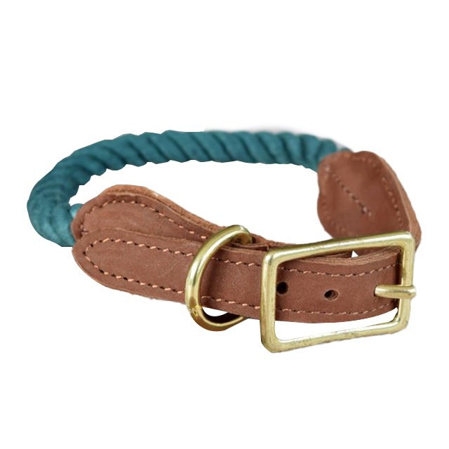 Adjustable Dog Collar and Leash set