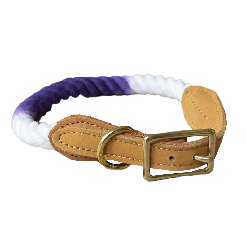 Adjustable Dog Collar and Leash set