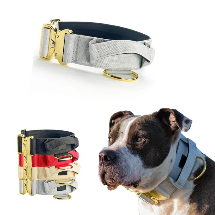 5cm 4cm 2 inch large custom big dog collar metal buckle duty Nylon comfort Tactical combat dog collar Pet