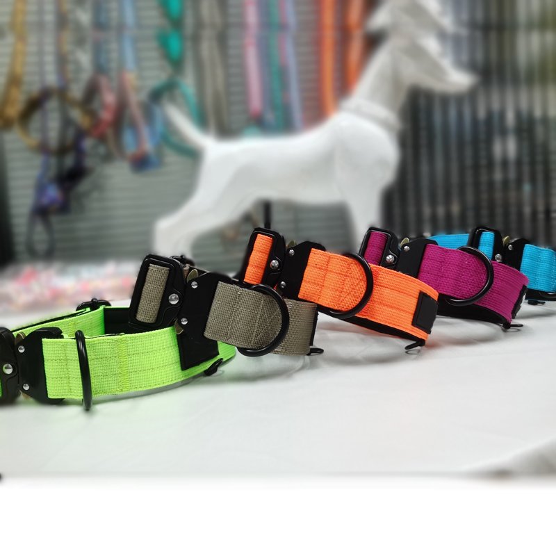 5cm 4cm 2 inch large custom big dog collar metal buckle duty Nylon comfort Tactical combat dog collar Pet