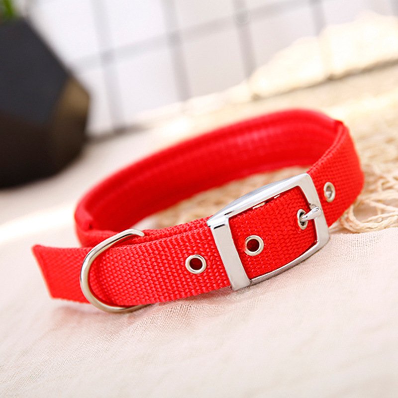 belt buckle collar pet collar dog neck dog pet supplies