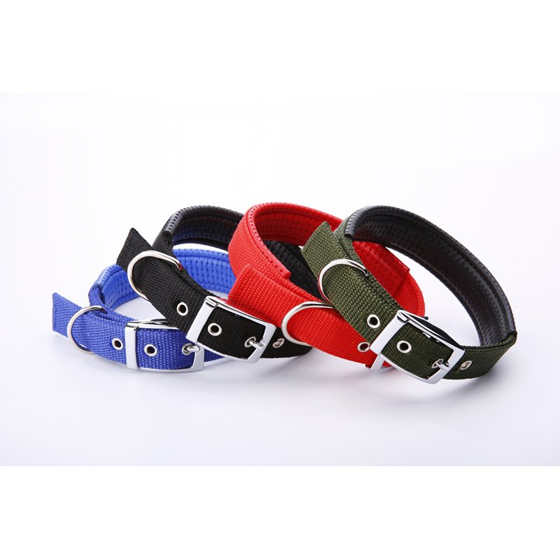 belt buckle collar pet collar dog neck dog pet supplies
