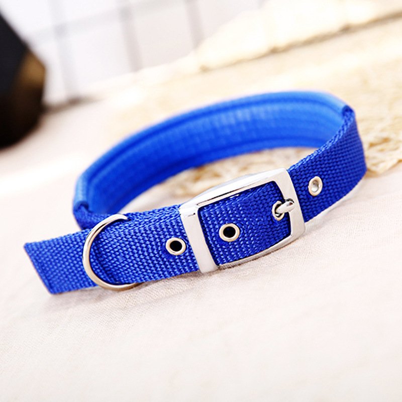 belt buckle collar pet collar dog neck dog pet supplies