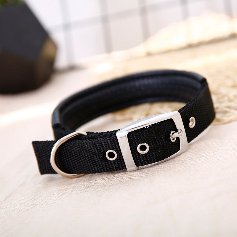 belt buckle collar pet collar dog neck dog pet supplies