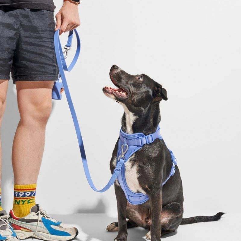 waterproof soft pvc coated webbing pet dog collar and leash dog harness sets